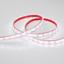 Фото Arlight RTW 2-5000PGS 015446 Светодиодная лента 12В Day White (3528, IP67, 300 LED, LUX, 5 м)