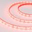 Фото Arlight RTW 2-5000PGS 013394 Светодиодная лента 12В Red (3528, IP67, 300 LED, LUX, 5 м)