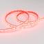 Фото Arlight RTW 2-5000PGS 013394 Светодиодная лента 12В Red (3528, IP67, 300 LED, LUX, 5 м)