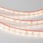 Фото Arlight RTW 2-5000PGS 013407 Светодиодная лента 12В Warm (3528, IP67, 300 LED, LUX, 5 м)