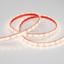 Фото Arlight RTW 2-5000PGS 013407 Светодиодная лента 12В Warm (3528, IP67, 300 LED, LUX, 5 м)