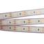 Фото Arlight RTW 2-5000PGS 015011 Светодиодная лента 12В White 2x (3528, IP67, 600 LED, LUX, 5 м)