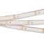 Фото Arlight RTW 2-5000PGS 013520 Светодиодная лента 24В White 2x (3528, IP67, 600 LED, LUX, 5 м)