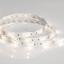 Фото Arlight RTW 2-5000SE 016843 Светодиодная лента 12В Day White (5060, IP65, 150 LED, LUX, 5 м)