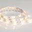 Фото Arlight RTW 2-5000SE 015129 Светодиодная лента 12В Warm (5060, IP65, 150 LED, LUX, 5 м)