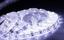 Фото Arlight RTW 2-5000SE 014627 Светодиодная лента 12В White (3528, IP65, 300 LED, LUX, 5 м)