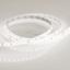 Фото Arlight RTW 2-5000SE 020529 Светодиодная лента 24В Day White 2x (2835, IP65, 600 LED, PRO, 5 м)