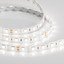 Фото Arlight RTW 2 DayWhite 2x 015455 Светодиодная лента 24В (5060, IP65, 300 LED, LUX, 5 м)