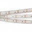 Фото Arlight RTW 2 Day White 2x 022319 Светодиодная лента 12В (3528, IP67, 600 LED, LUX, 5 м)