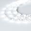Фото Arlight RZ 2-5000 017202 Светодиодная лента 12В White 2x (5060, IP33, 240 LED, 5 м)