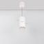Фото Arlight 022948 SP-POLO-R85-2-15W Day White 40deg (White, White Ring) светильник подвесной