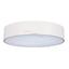 Фото Arlight 022125 SP-TOR-TB500SW-30W-R White-MIX светильник