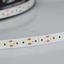 Фото Arlight Microled-5000HP 023586 Светодиодная лента 24В White6000 10mm (2216, IP33, 300 LED, LUX, 5 м)