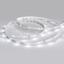 Фото Arlight RT 2-5000 019917 Светодиодная лента 24В White (3528, IP33, 150 LED, LUX, 5 м)