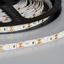 Фото Arlight RT 2-5000 022459 Светодиодная лента 12В White 2x (2835, IP33, 600 LED, PRO, 5 м)