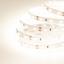 Фото Arlight RT 2-5000 021420 Светодиодная лента 12В Warm2700 (3528, IP33, 300 LED, 5 м)