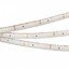 Фото Arlight RTW 2 Day White 021100 Светодиодная лента 12В (3528, IP67, 300 LED, LUX, 5 м)