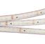 Фото Arlight RTW 2-5000PS 021462 Светодиодная лента 24В Warm3000 2x2 (3528, IP67, 600 LED, LUX, 5 м)