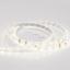 Фото Arlight RTW 2-5000SE 024260 Светодиодная лента 24В Day (3528, IP33, 300 LED, LUX, 5 м)