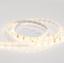 Фото Arlight RTW 2-5000SE 021556 Светодиодная лента 24В Warm B30 (3528, IP65, 300 LED, LUX, 5 м)