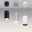 Фото Arlight 022961 SP-POLO-R85-2-15W Day White 40deg (Black, White Ring) подвесной светильник