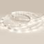 Фото Arlight RT 2-5000 024112 Светодиодная лента 24В Warm3000 0.5x (3528, IP33, 150 LED, LUX, 5 м)