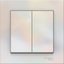 Фото Schneider Electric AtlasDesign ATN000452 Выключатель двухклавишный (10 А, в сборе, скрытая установка, жемчуг)