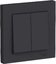 Фото Schneider Electric AtlasDesign ATN001052 Выключатель двухклавишный (10 А, в сборе, скрытая установка, карбон)
