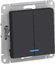 Фото Schneider Electric AtlasDesign ATN001053 Выключатель двухклавишный (10 А, под рамку, подсветка, скрытая установка, карбон)