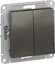 Фото Schneider Electric AtlasDesign ATN000965 Переключатель двухклавишный (10 А, под рамку, скрытая установка, сталь)