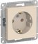 Фото Schneider Electric AtlasDesign ATN000243 Розетка с заземляющим контактом (16 А, под рамку, скрытая установка, бежевая)