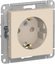Фото Schneider Electric AtlasDesign ATN000245 Розетка с заземляющим контактом (16 А, под рамку, шторки, скрытая установка, бежевая)