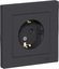 Фото Schneider Electric AtlasDesign ATN001044 Розетка с заземляющим контактом (16 А, в сборе, шторки, скрытая установка, карбон)
