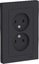 Фото Schneider Electric AtlasDesign ATN001020 Розетка двойная без заземляющего контакта (16 А, в сборе, скрытая установка, карбон)