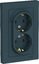 Фото Schneider Electric AtlasDesign ATN000824 Розетка двойная с заземляющим контактом (16 А, в сборе, скрытая установка, изумруд)