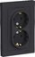Фото Schneider Electric AtlasDesign ATN001024 Розетка двойная с заземляющим контактом (16 А, в сборе, скрытая установка, карбон)
