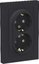 Фото Schneider Electric AtlasDesign ATN001026 Розетка двойная с заземляющим контактом (16 А, в сборе, шторки, скрытая установка, карбон)