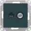 Фото Schneider Electric AtlasDesign ATN000889 Розетка комбинированная (RJ45+TV, под рамку, скрытая установка, изумруд)