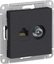 Фото Schneider Electric AtlasDesign ATN001089 Розетка комбинированная (RJ45+TV, под рамку, скрытая установка, карбон)