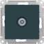 Фото Schneider Electric AtlasDesign ATN000891 Розетка телевизионная оконечная (TV, под рамку, скрытая установка, изумруд)