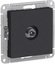 Фото Schneider Electric AtlasDesign ATN001092 Розетка телевизионная проходная (TV, под рамку, скрытая установка, карбон)