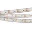 Фото Arlight RTW 2-5000PS 022318 Светодиодная лента 12В White 2x (3528, IP67, 600 LED, LUX, 5 м)