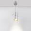 Фото Arlight 022972 SP-POLO-R85-2-15W Day White 40deg (Silver, Gold Ring) подвесной светильник
