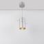 Фото Arlight 022972 SP-POLO-R85-2-15W Day White 40deg (Silver, Gold Ring) подвесной светильник