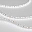 Фото Arlight Microled-5000L White6000 4mm 024417 Светодиодная лента 24В (2216, IP33, 120 LED/m, LUX, 5 м)