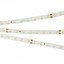 Фото Arlight RT 2-5000 Day4000 024512 Светодиодная лента 24В (2835, IP33, 80 LED/m, LUX, 5 м)