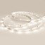 Фото Arlight RT 2-5000 Warm3000 0.5x 024112(B) Светодиодная лента 24В (3528, IP33, 150 LED, LUX, 5 м)