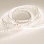 Фото Arlight RT 2-5000 Warm3000 2x 024108(B) Светодиодная лента 24В (3528, IP33, 600 LED, LUX, 5 м)