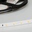 Фото Arlight RT 2-5000 White5500 024109 Светодиодная лента 24В (3528, IP33, 300 LED, LUX, 5 м)