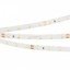 Фото Arlight RT 2-5000 White6000 011504(B) Светодиодная лента 24В (3528, IP33, 300 LED, LUX, 5 м)